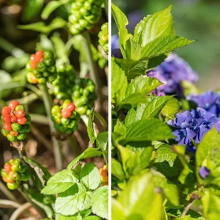 Semesterbostad Lf11109-struer-barsidalvej-9 *