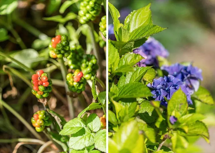 펜션 Lf11109-struer-barsidalvej-9 스트루에르